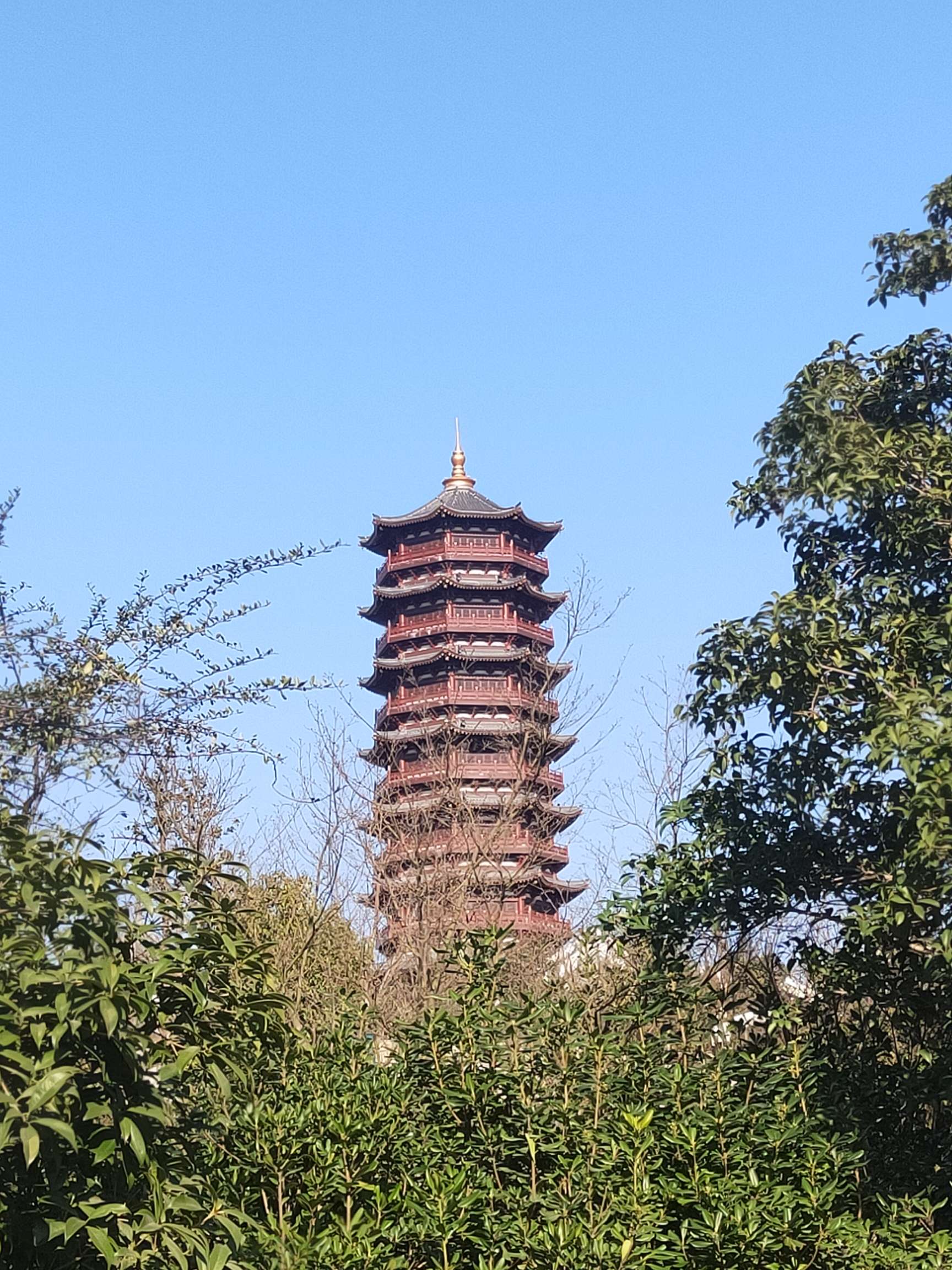 找老伴搭子