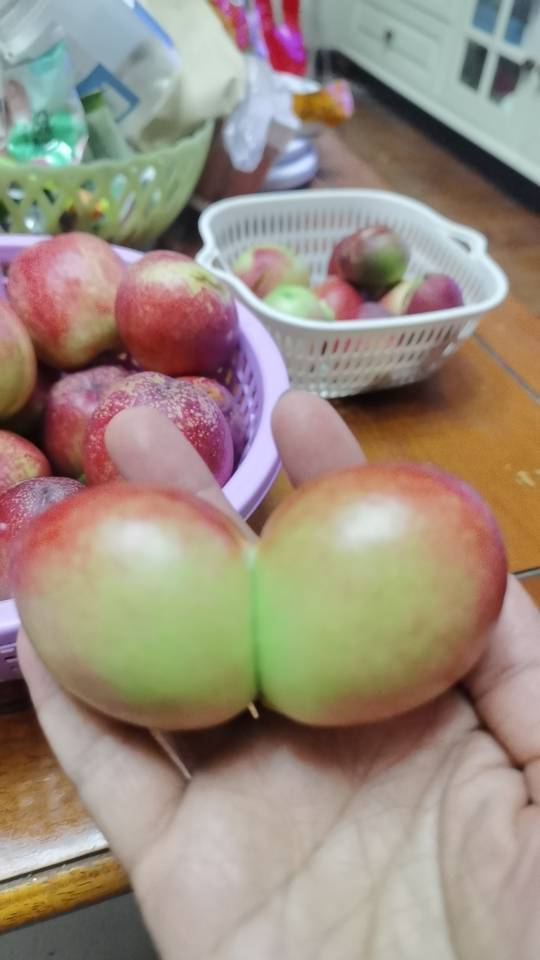找老伴搭子