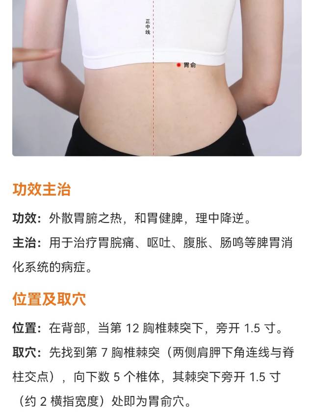 找老伴搭子