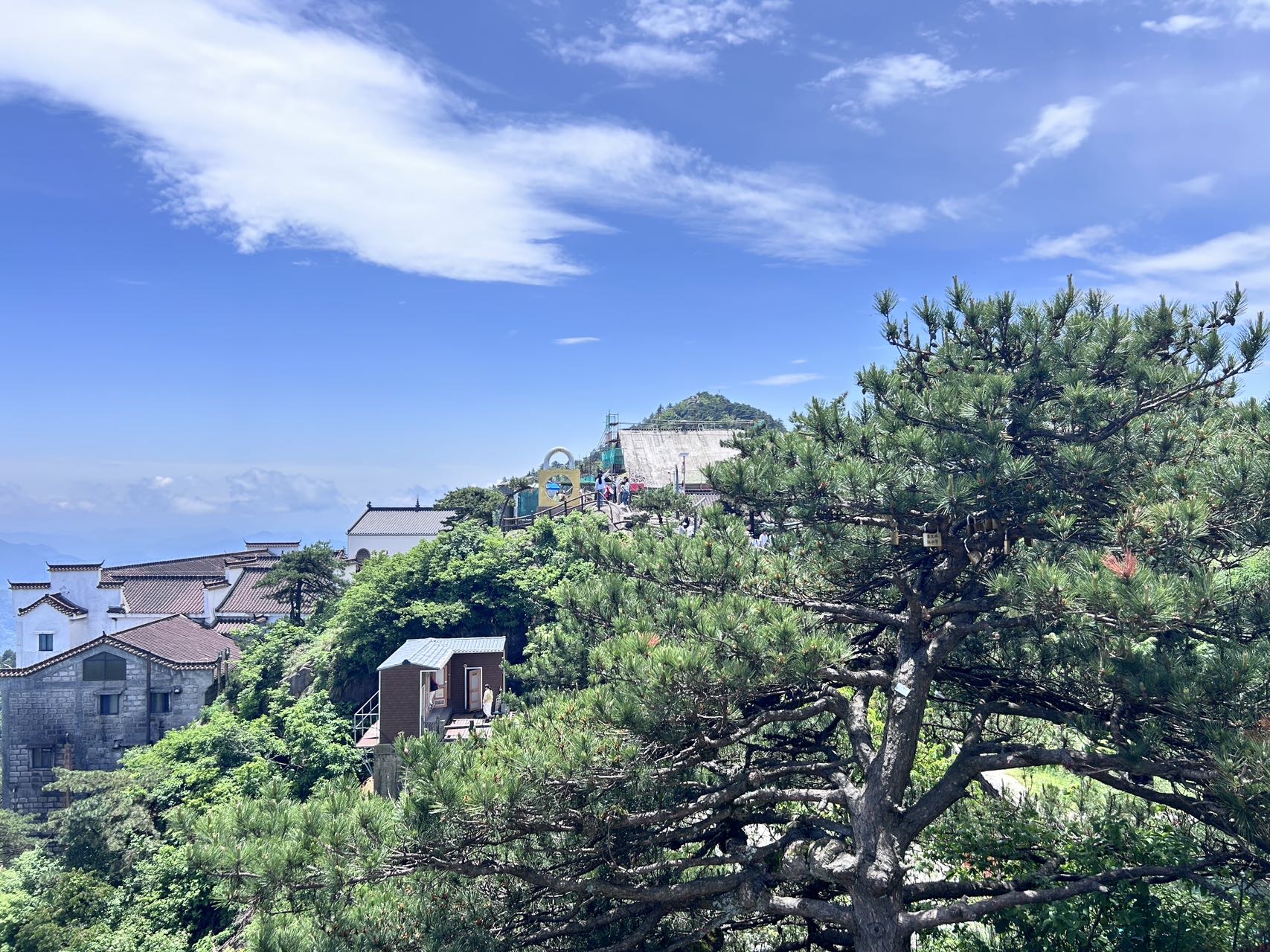 找老伴搭子