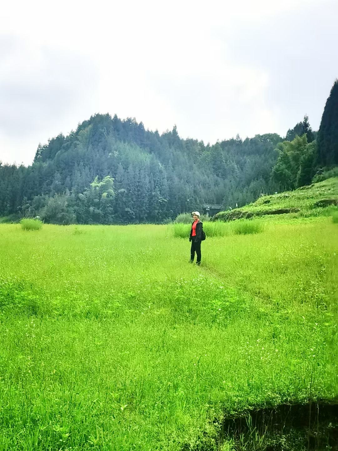 找老伴搭子