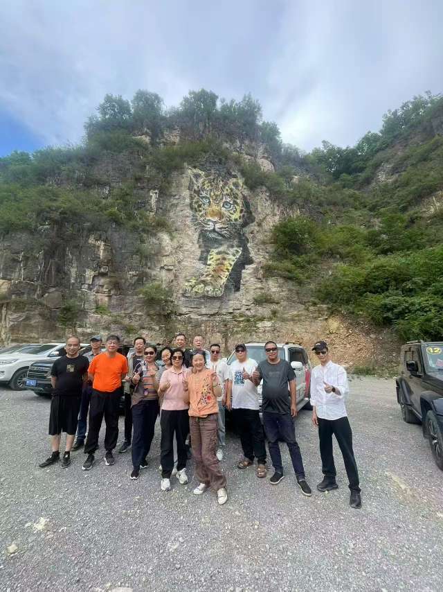 找老伴搭子