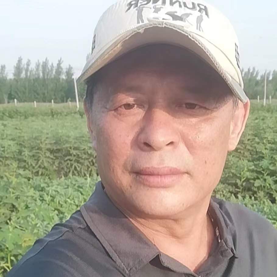 找老伴搭子
