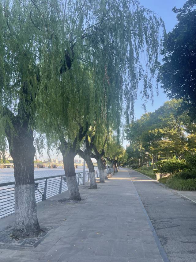 找老伴搭子