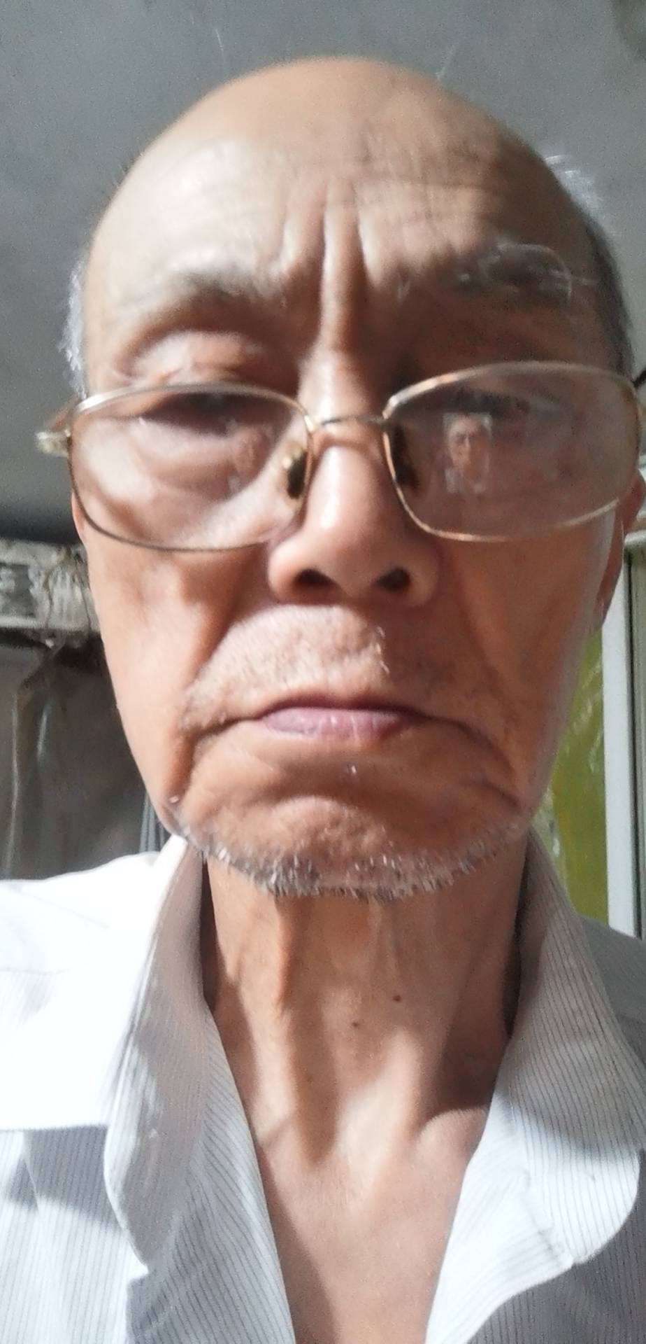 找老伴搭子