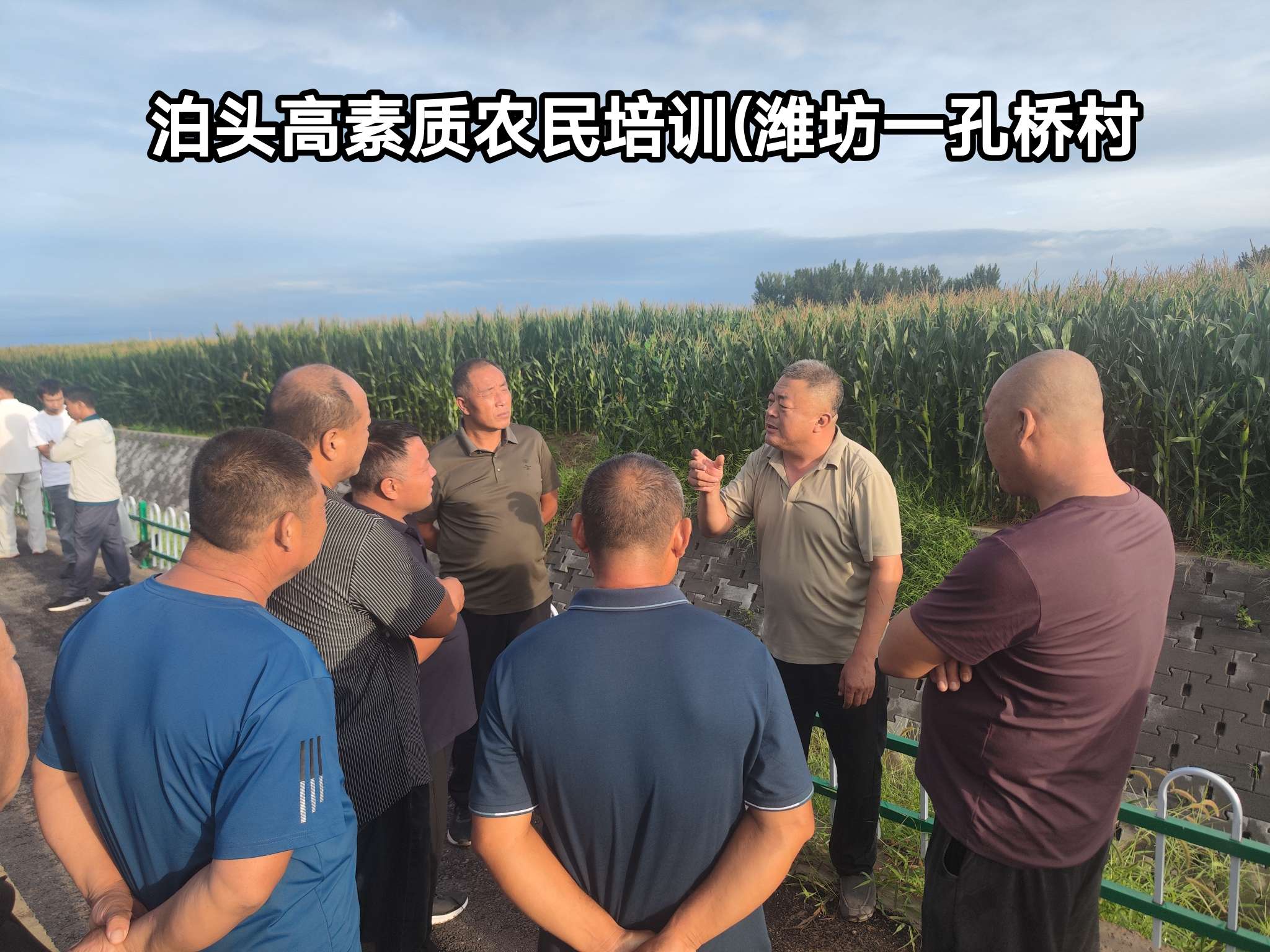 找老伴搭子