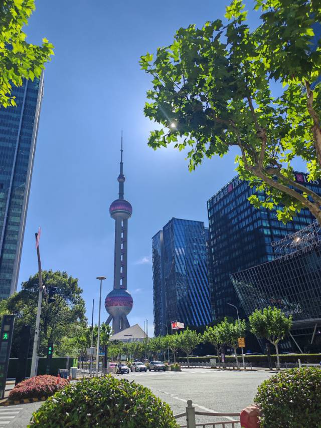 找老伴搭子