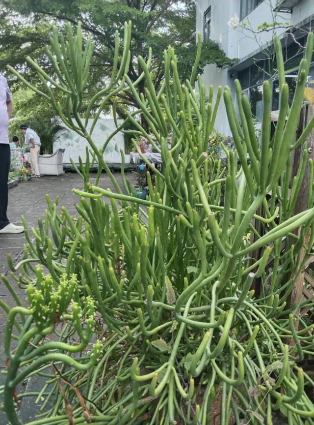找老伴搭子