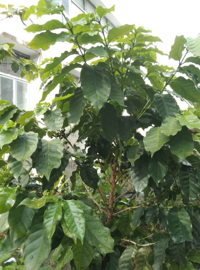 找老伴搭子