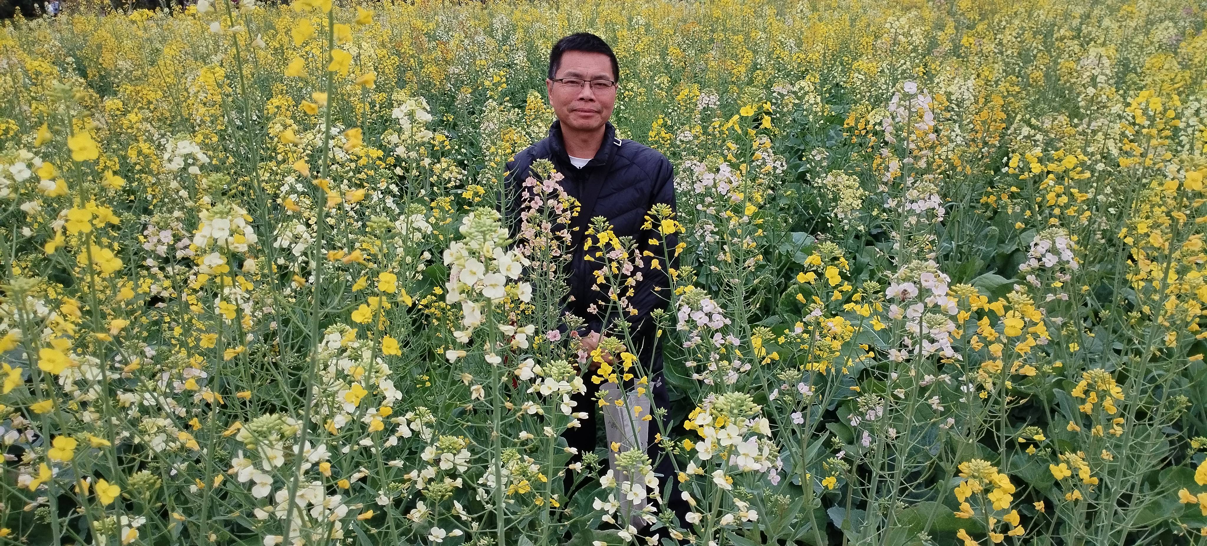 找老伴搭子