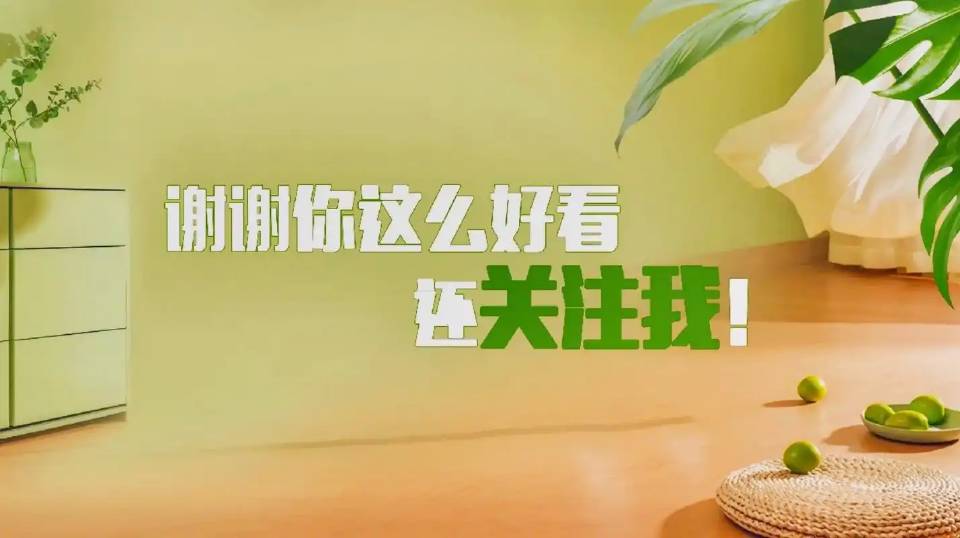 找老伴搭子