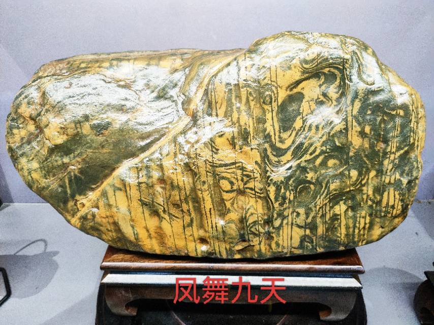 找老伴搭子