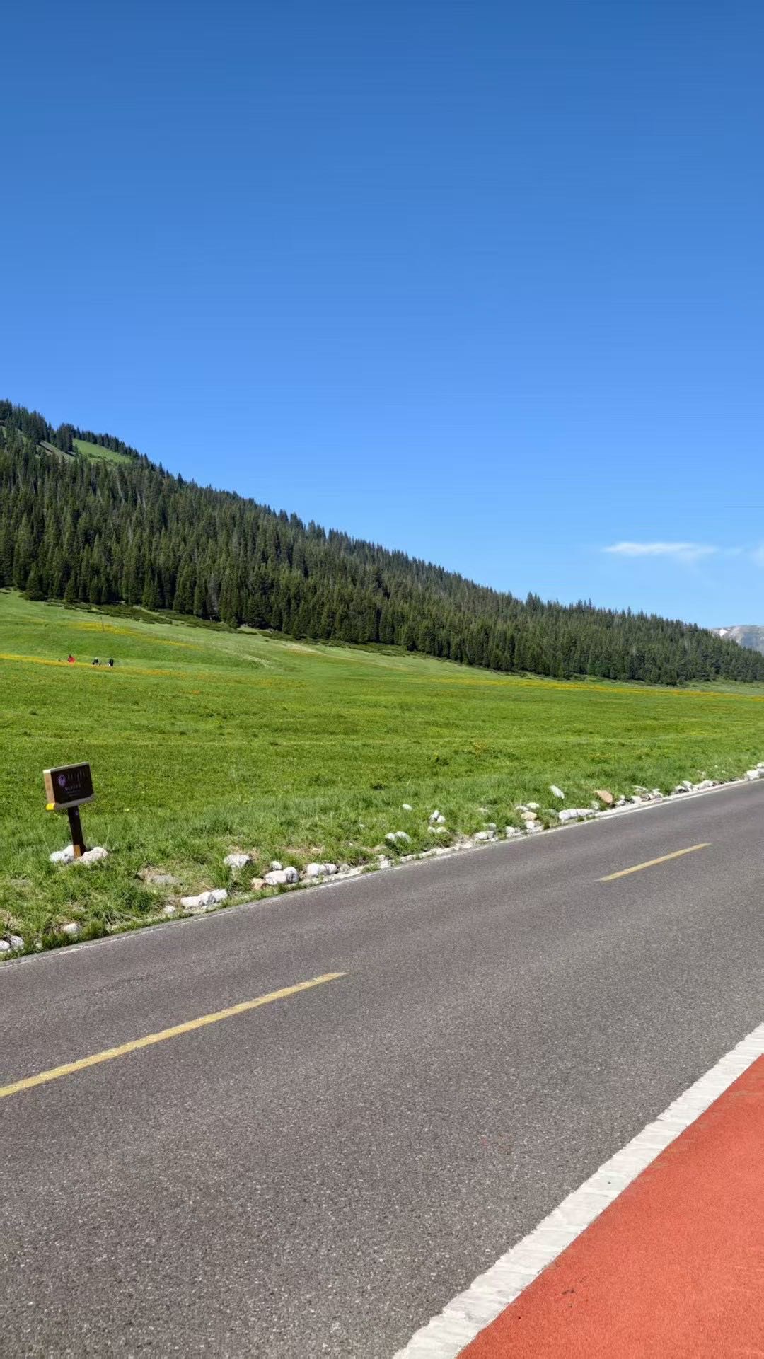 晖伴中老年人找老伴搭子