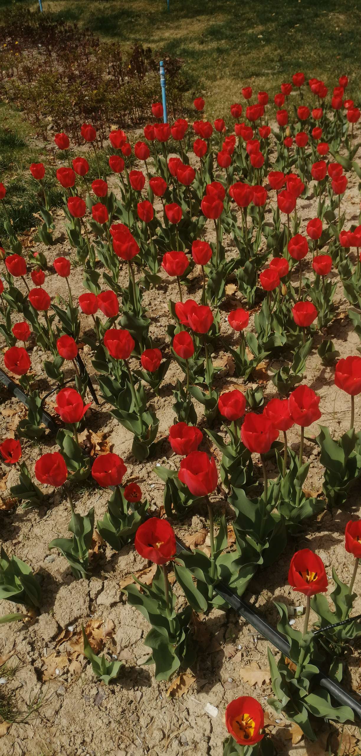 晖伴中老年人找老伴搭子