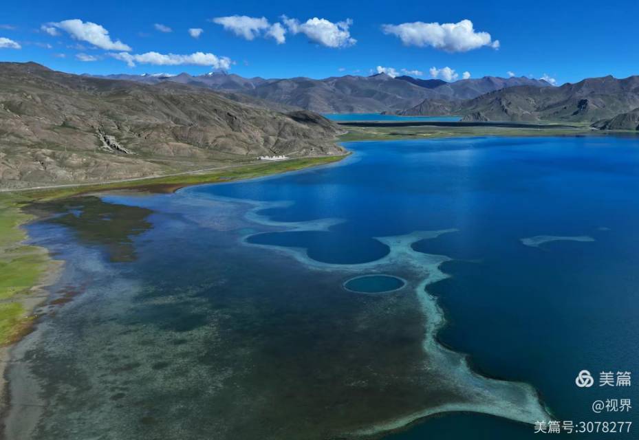 晖伴中老年人找老伴搭子