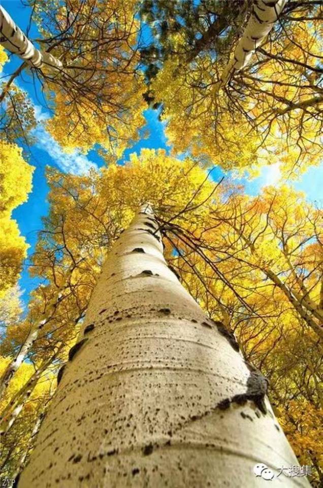 晖伴中老年人找老伴搭子