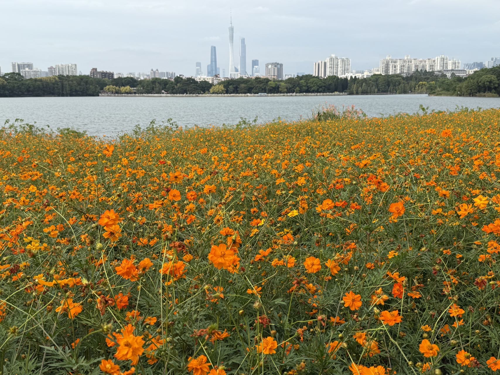 晖伴中老年人找老伴搭子