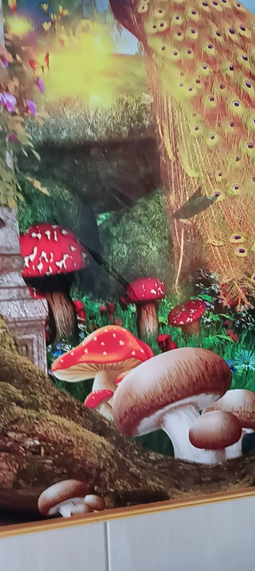 晖伴中老年人找老伴搭子