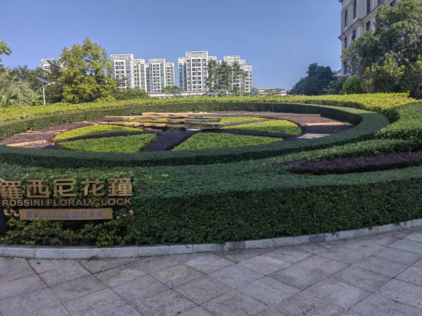 晖伴中老年人找老伴搭子