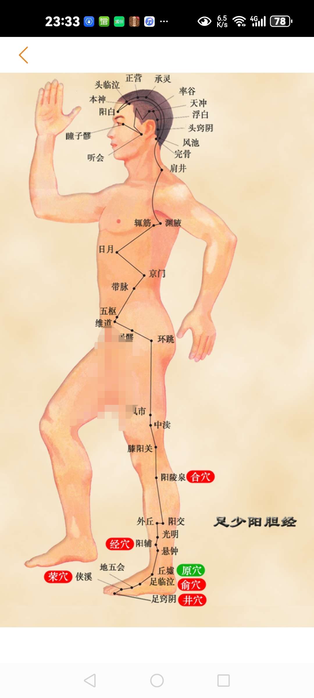 找老伴搭子