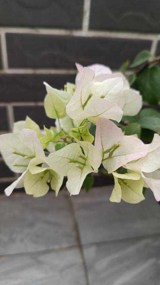 晖伴中老年人找老伴搭子