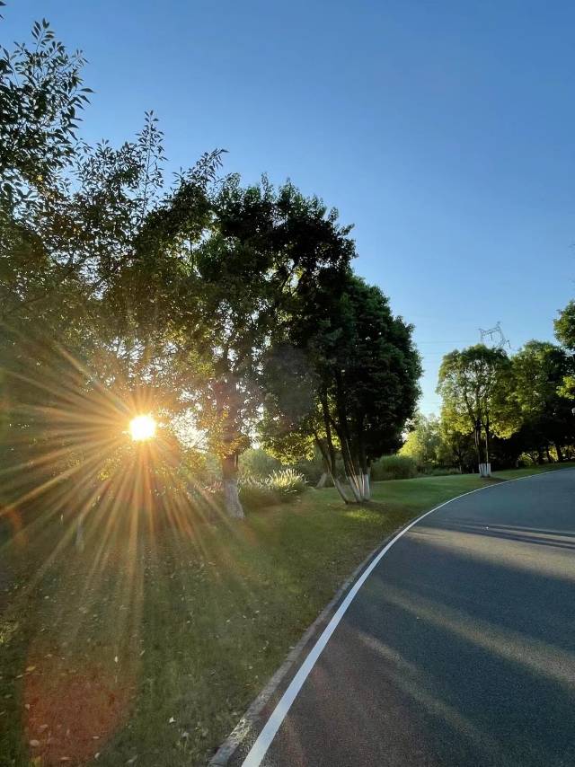 晖伴中老年人找老伴搭子