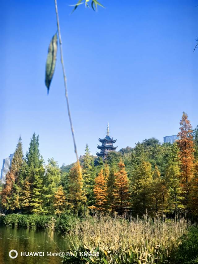 晖伴中老年人找老伴搭子