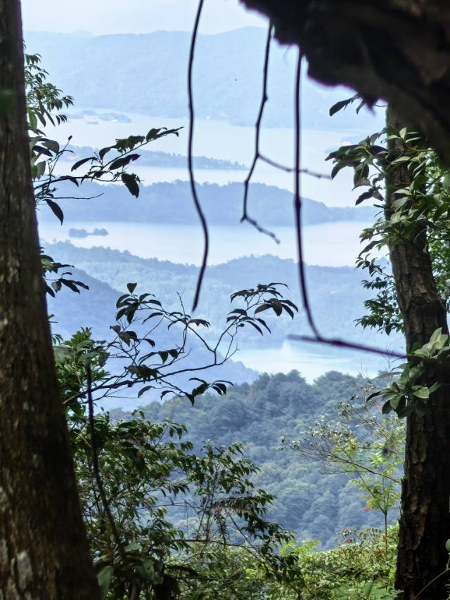 晖伴中老年人找老伴搭子
