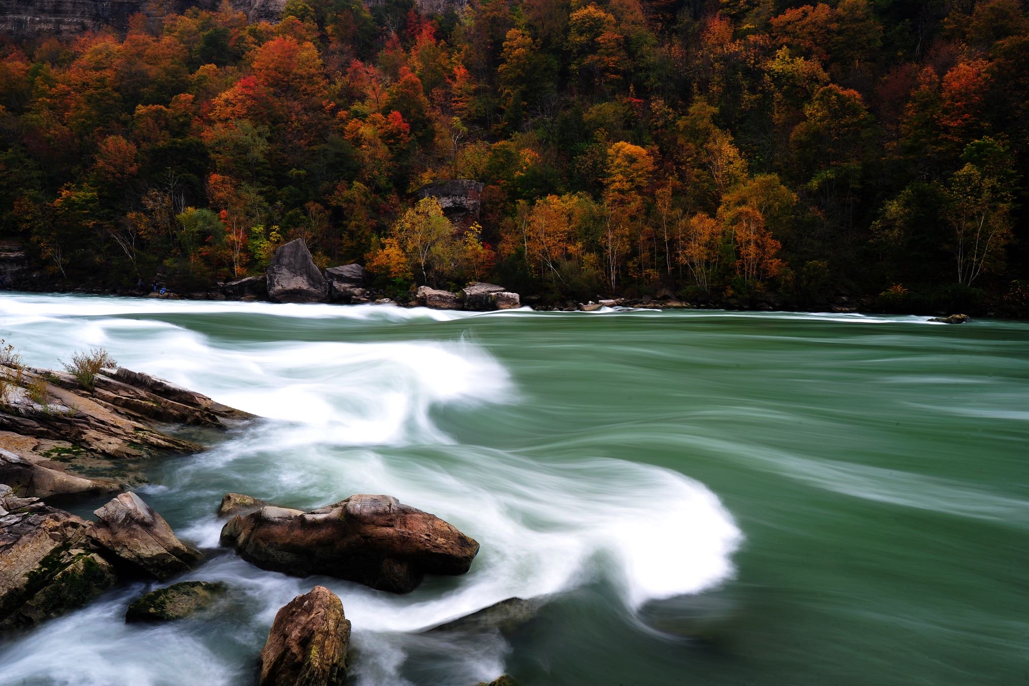 晖伴中老年人找老伴搭子
