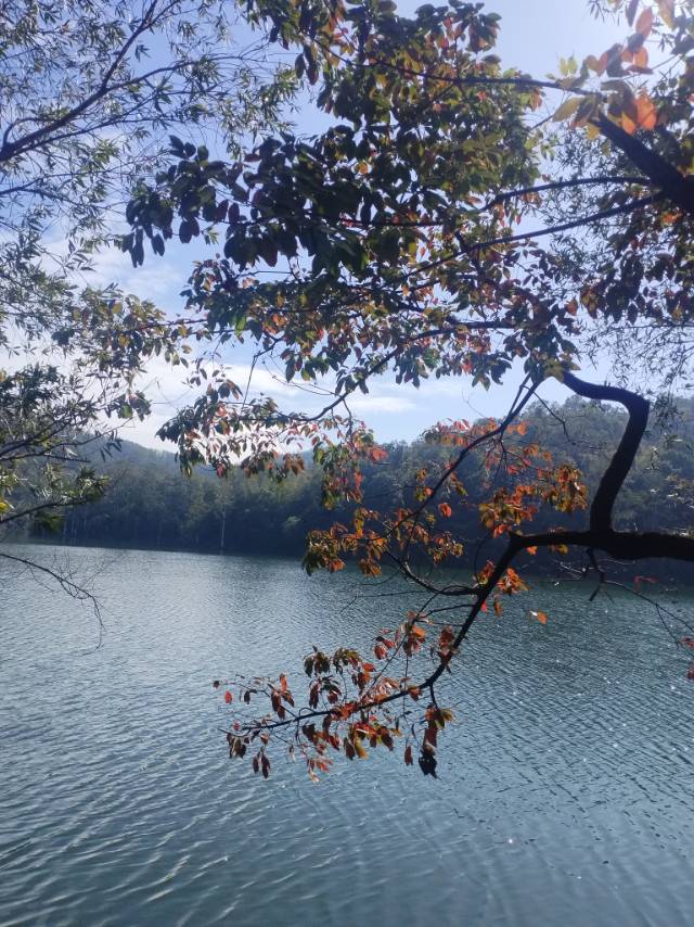 晖伴中老年人找老伴搭子