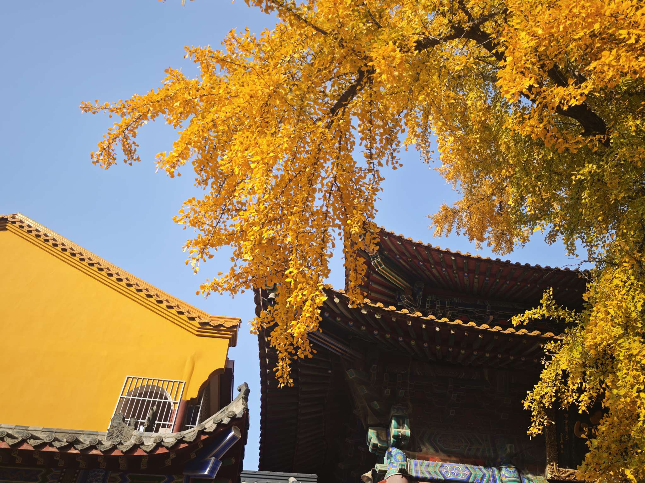 晖伴中老年人找老伴搭子