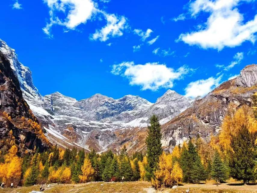 晖伴中老年人找老伴搭子