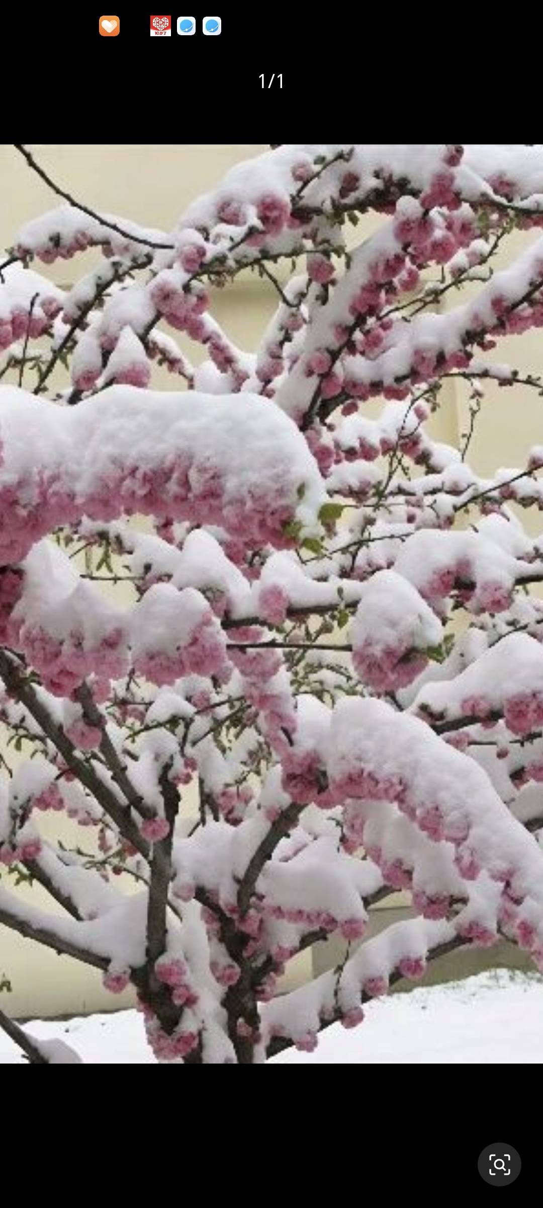 晖伴中老年人找老伴搭子